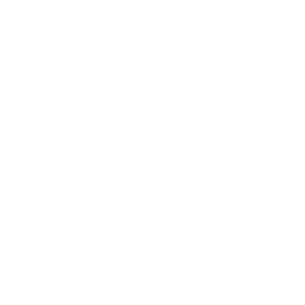 UD Icon